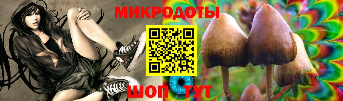 Видное  Псилоцибиновые грибы Psilocybe  Вход с VPN 